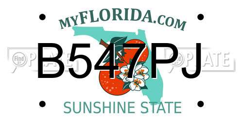 B547PJ Florida License Plate