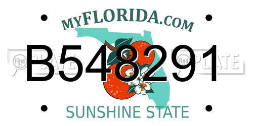 B548291 Florida License Plate