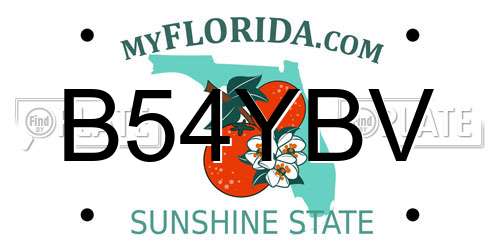 B54YBV Florida License Plate
