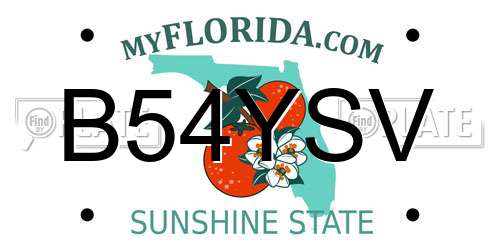 B54YSV Florida License Plate