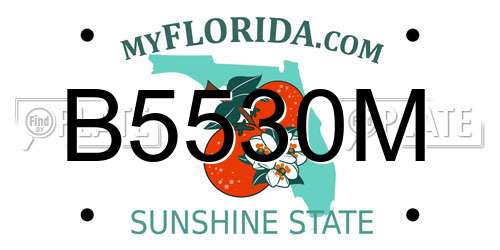 B5530M Florida License Plate
