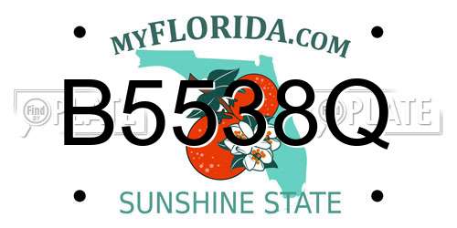 B5538Q Florida License Plate