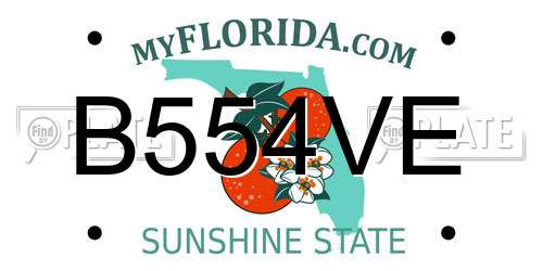 B554VE Florida License Plate