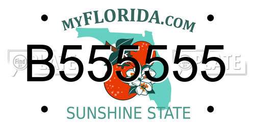 B555555 Florida License Plate