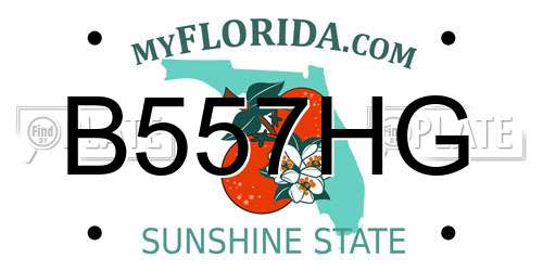 B557HG Florida License Plate