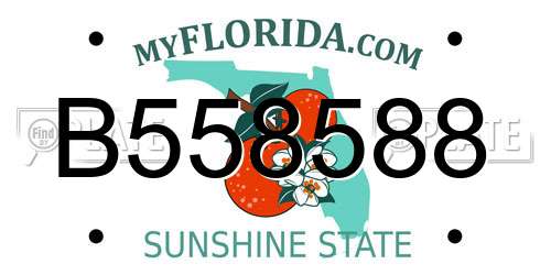 B558588 Florida License Plate