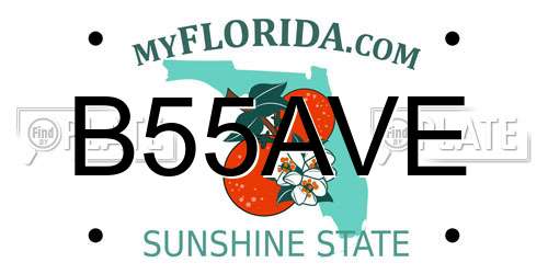 B55AVE Florida License Plate