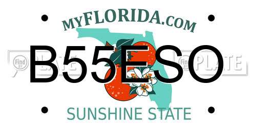 B55ESO Florida License Plate