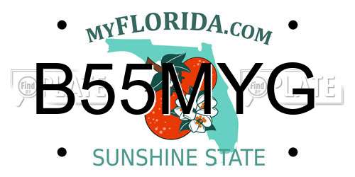 B55MYG Florida License Plate