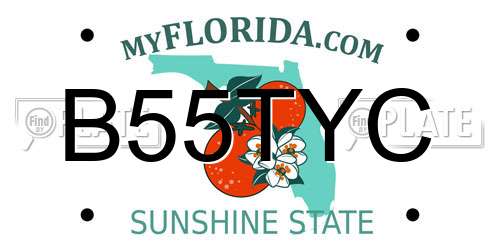 B55TYC Florida License Plate