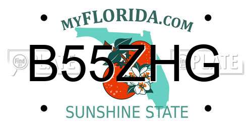 B55ZHG Florida License Plate