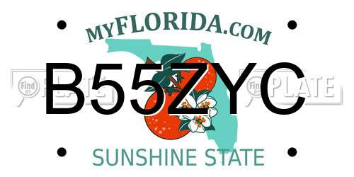 B55ZYC Florida License Plate