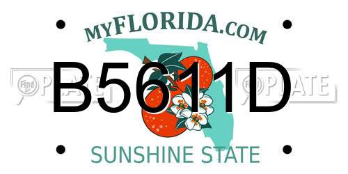 B5611D Florida License Plate