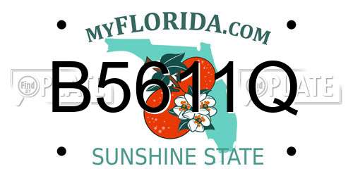 B5611Q Florida License Plate