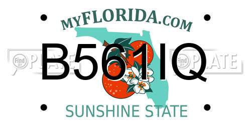 B561IQ Florida License Plate