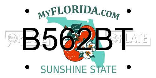 B562BT Florida License Plate