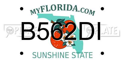 B562DI Florida License Plate