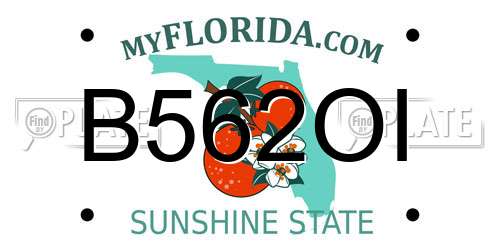 B562OI Florida License Plate