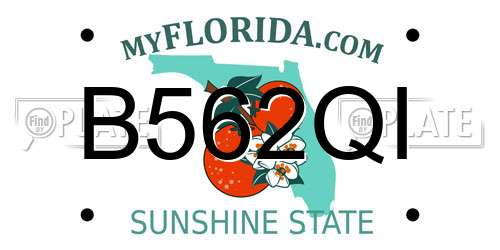B562QI Florida License Plate