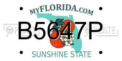 B5647P Florida License Plate
