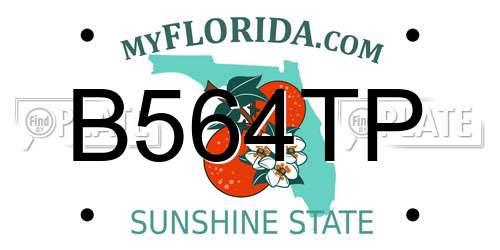 B564TP Florida License Plate
