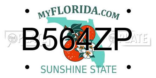 B564ZP Florida License Plate