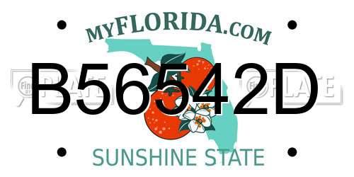 B56542D Florida License Plate