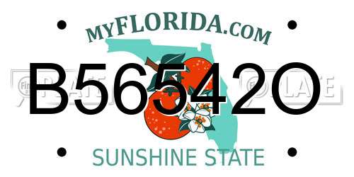 B56542O Florida License Plate