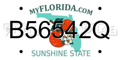 B56542Q Florida License Plate