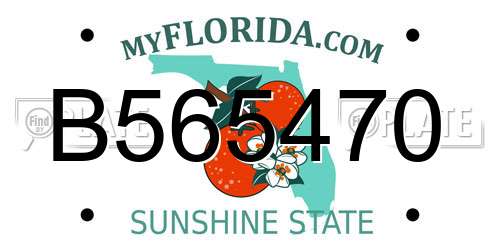 B565470 Florida License Plate