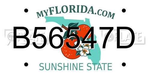B56547D Florida License Plate