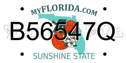 B56547Q Florida License Plate