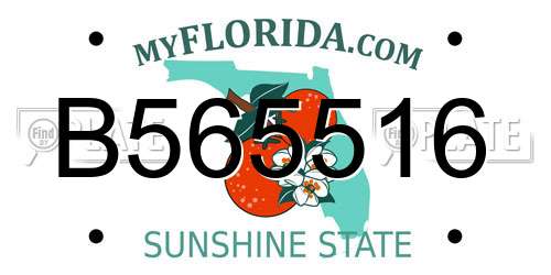 B565516 Florida License Plate