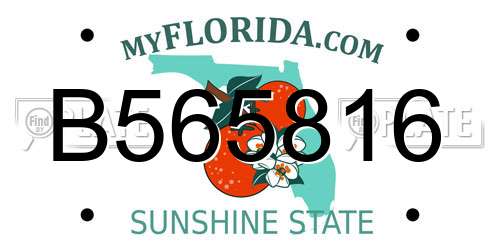 B565816 Florida License Plate