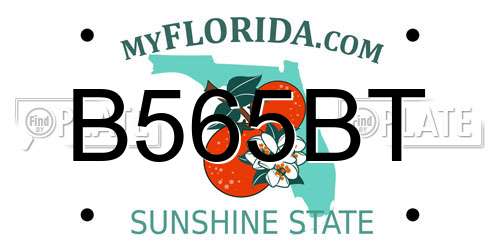 B565BT Florida License Plate