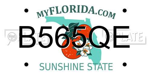 B565QE Florida License Plate