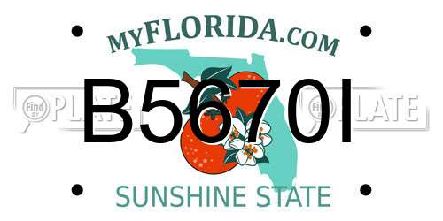 B5670I Florida License Plate