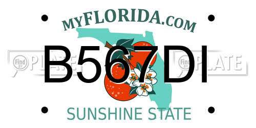 B567DI Florida License Plate