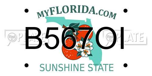 B567OI Florida License Plate