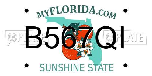 B567QI Florida License Plate