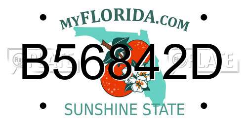 B56842D Florida License Plate