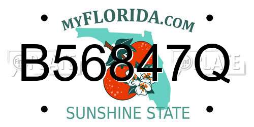 B56847Q Florida License Plate