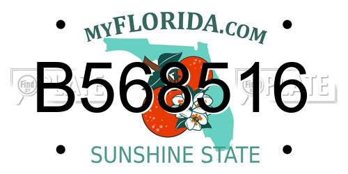 B568516 Florida License Plate