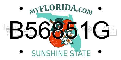 B56851G Florida License Plate