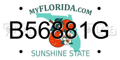 B56881G Florida License Plate
