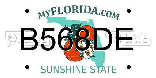 B568DE Florida License Plate