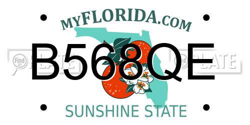B568QE Florida License Plate