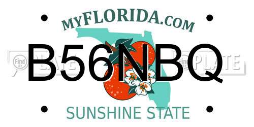B56NBQ Florida License Plate
