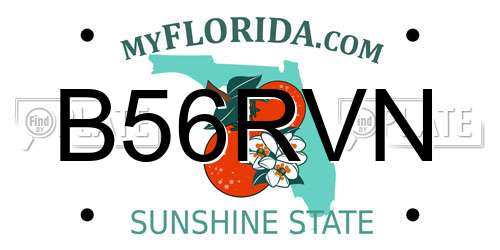 B56RVN Florida License Plate