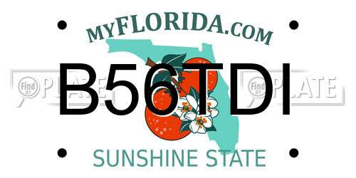 B56TDI Florida License Plate